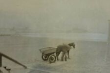 Fotografía de caballo y carro en la playa en blanco y negro 3,5 x 5 segunda mano  Embacar hacia Argentina