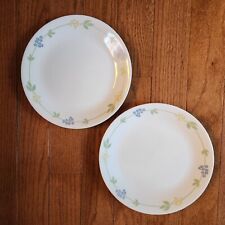 Corelle corning secret for sale  Hollywood