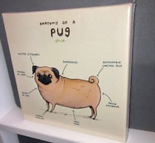 Anatomy pug awesome for sale  UK