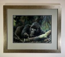 Original painting gorillas for sale  BOURNEMOUTH