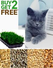 500 organic cat for sale  STAINES-UPON-THAMES
