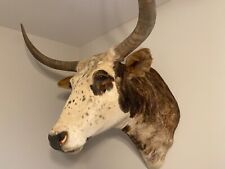 Huge longhorn bull for sale  Glasgow