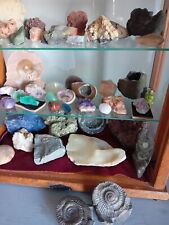 Rock fossil collection for sale  RYE