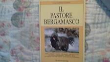 Pastore bergamasco aavv usato  Sesto San Giovanni