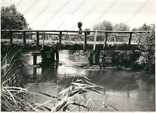1958 porpetto ponte usato  Cremona