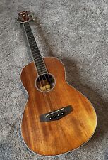 ibanez acoustic parlor guitar for sale  Clifton Heights