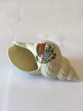 Ambleside whelk shell for sale  PLYMOUTH