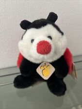 Peluche coccinella portafortun usato  Piombino