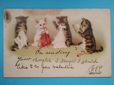 Cats kittens valentine for sale  WOLVERHAMPTON