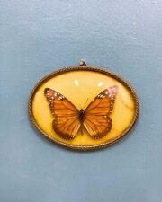 Farfalla monarca collezione usato  Torino