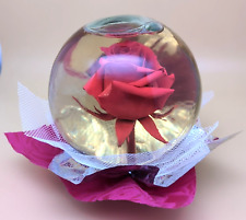 Globo cúpula bola de água rosa vermelha real preservada em vidro 5 libras FOREVER ROSE 7” comprar usado  Enviando para Brazil