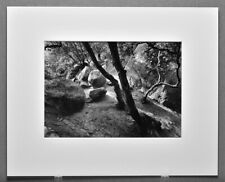 photographic art for sale  Monterey