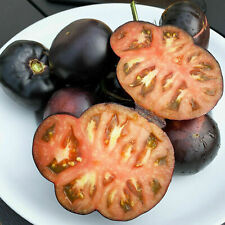 Tomate noire géante d'occasion  Expédié en France