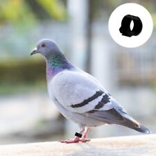Racing pigeon leg for sale  Shipping to Ireland
