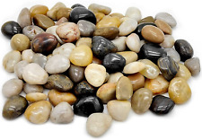 5lb polished pebbles for sale  USA