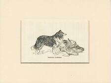 Shetland sheepdog antique for sale  Shipping to Ireland