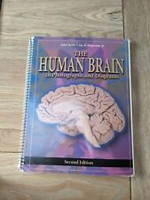 Nolte human brain for sale  LONDON