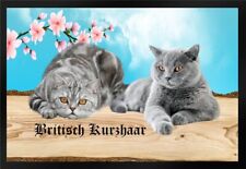 Fußmatte schmutzfangmatte kat gebraucht kaufen  Limbach-Oberfrohna