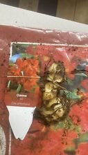 Mixed canna lily for sale  Independence