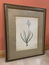 The New York Botanical Gardens Print Ornithogalum Arabicum 23”x18.5” Framed Art for sale  Shipping to South Africa