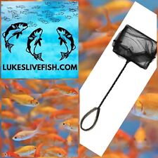 150 live fish for sale  Lonoke