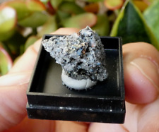 Titanite apatite hauyne d'occasion  Expédié en Belgium