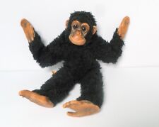 chimpanzee for sale  BIDEFORD