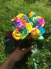 25x regenbogen rosen gebraucht kaufen  Pfullingen