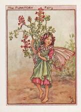 Flower fairies fumitory for sale  MOLD