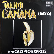 Calypso express talimi gebraucht kaufen  Rieneck