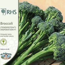 Broccoli seeds tenderstem for sale  WORTHING