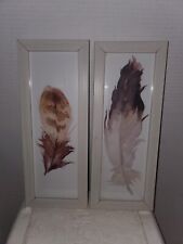Pair framed feather for sale  North Branch