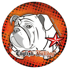Englische bulldogge english gebraucht kaufen  Halle