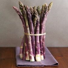 French asparagus precoce for sale  Shipping to Ireland