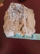 Large pumice stone for sale  Albuquerque