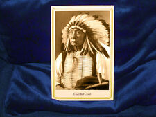 Lakota chief red for sale  New York