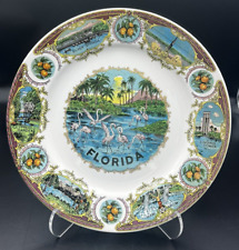 Collectible souvenir plate for sale  Allen