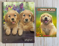 Golden retriever puppies for sale  Palm Coast