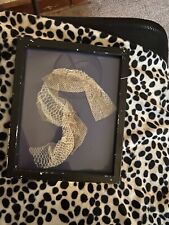 Snake skin taxidermy for sale  PAISLEY