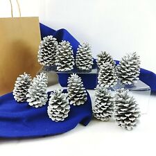 Pinecones home decor for sale  Dacula