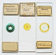 Antique microscope slides for sale  BOREHAMWOOD