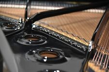 Steinway B 1965 ébano de alto brilho reconstruído setembro de 2023 preços mais baixos em 5 anos! comprar usado  Enviando para Brazil