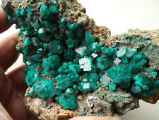 Superbe dioptase congo d'occasion  Orcines