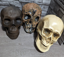Skull halloween prop for sale  Durham