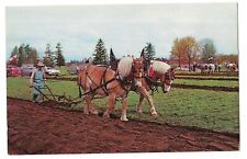 Postal de HORSES & PLOWMAN Plow International Plowing Match Lynden Washington WA segunda mano  Embacar hacia Argentina