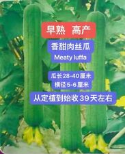 Meaty loofah seeds for sale  Monterey Park