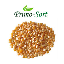 Natural popcorn kernels for sale  Shipping to Ireland