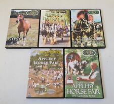 Gypsy horse fair for sale  COLCHESTER