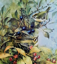 Goldcrest book print for sale  COLNE