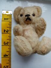 Minature teddy bear for sale  WATERLOOVILLE